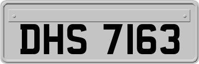 DHS7163