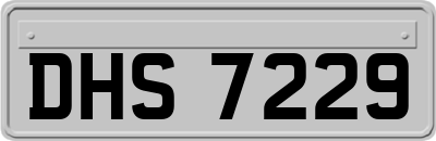DHS7229