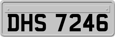 DHS7246