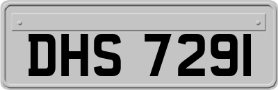 DHS7291