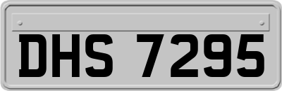DHS7295