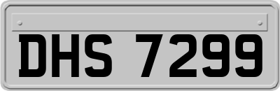 DHS7299