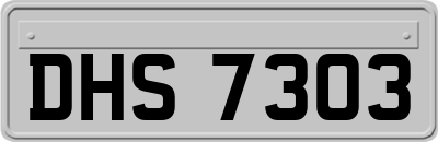 DHS7303