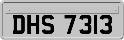 DHS7313
