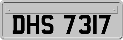 DHS7317