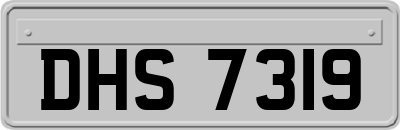 DHS7319