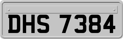 DHS7384
