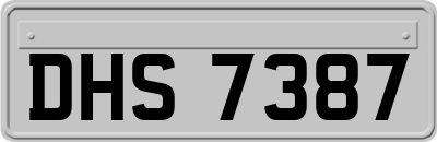 DHS7387