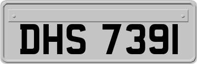DHS7391