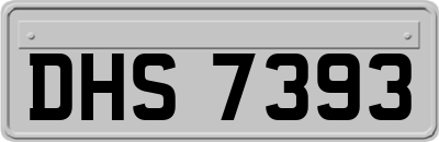 DHS7393