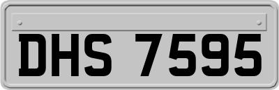 DHS7595