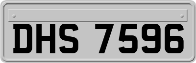 DHS7596