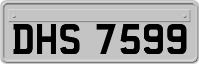 DHS7599
