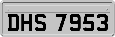 DHS7953