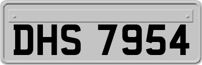 DHS7954