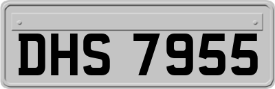 DHS7955