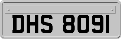 DHS8091