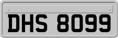DHS8099