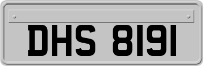 DHS8191
