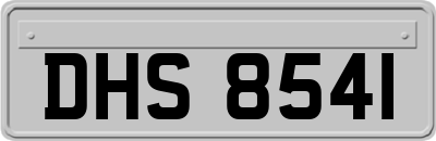 DHS8541