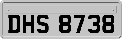 DHS8738