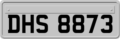 DHS8873