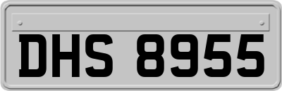 DHS8955
