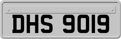 DHS9019