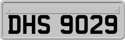 DHS9029
