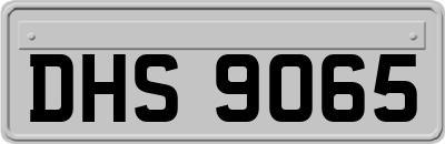 DHS9065