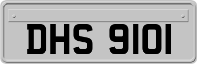 DHS9101