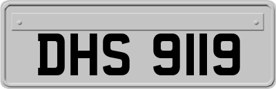 DHS9119