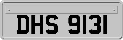 DHS9131