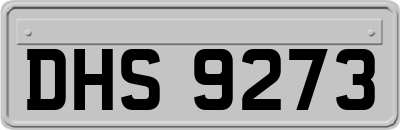 DHS9273