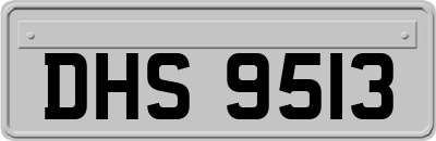 DHS9513