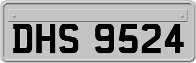 DHS9524