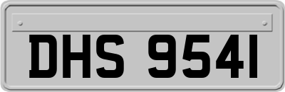 DHS9541