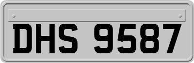 DHS9587