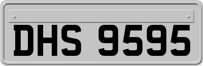 DHS9595