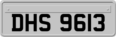 DHS9613