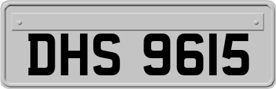 DHS9615
