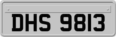 DHS9813