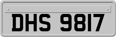 DHS9817