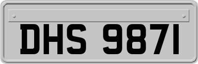 DHS9871