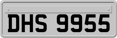 DHS9955