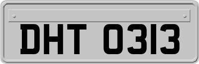 DHT0313