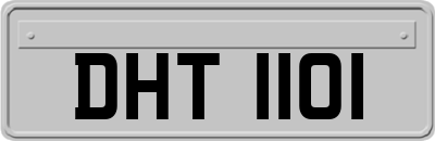 DHT1101