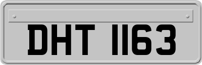 DHT1163