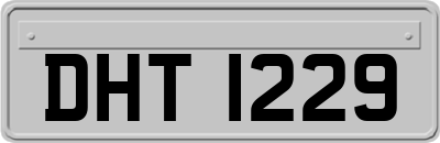 DHT1229