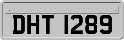 DHT1289